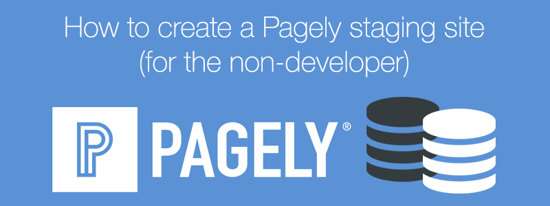 Pagely staging site