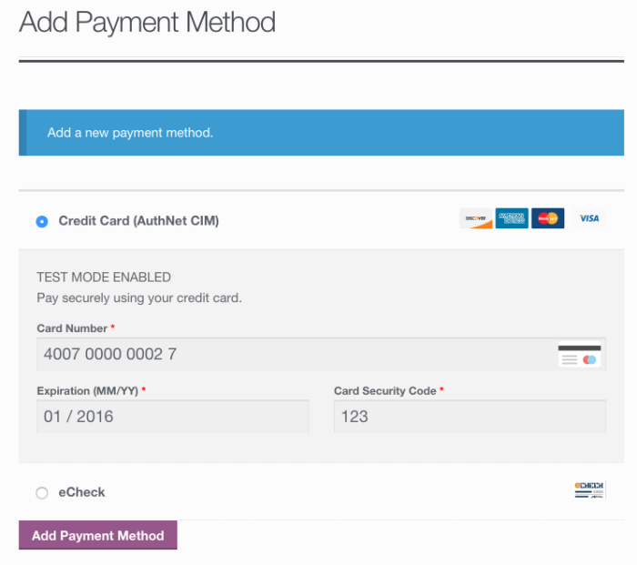 WooCommerce Elavon add payment