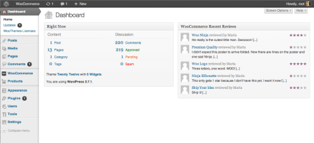 WordPress 3.7 Dashboard