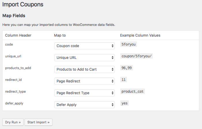 WooCommerce URL Coupons import field mapping